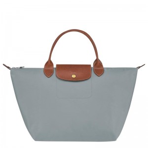 Longchamp Le Pliage Original M Ženske Torbica Sive | 10296-NIHJ