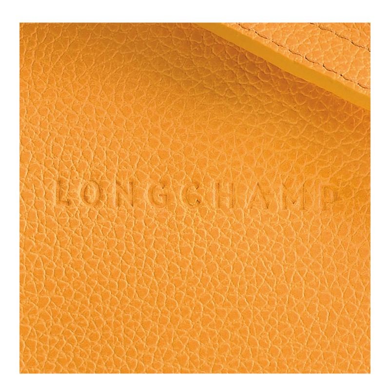 Longchamp Le Foulonné S Ženske Torba Crossbody Boje Marelice Narančaste | 25436-WTXI