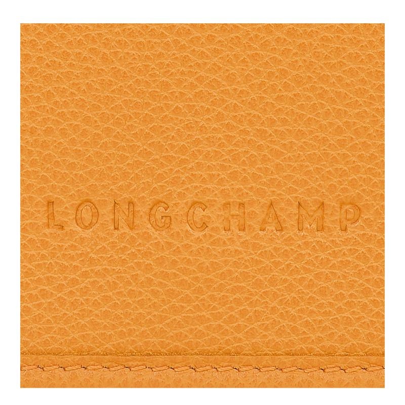 Longchamp Le Foulonné XS Ženske Clutch Boje Marelice Narančaste | 24738-MDIY