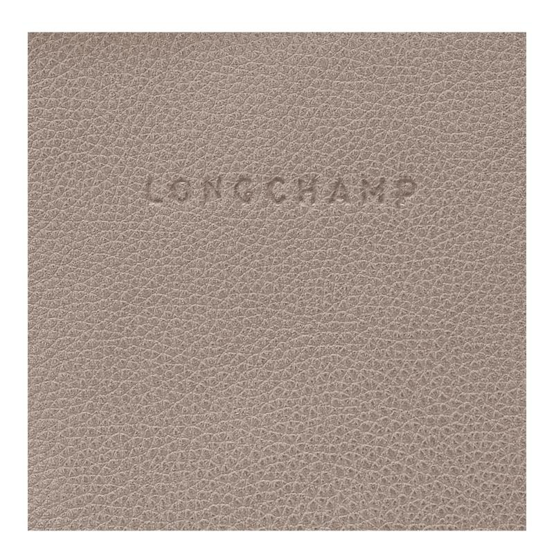 Longchamp Le Foulonné Ženske Ruksaci Sive | 91308-WSRF